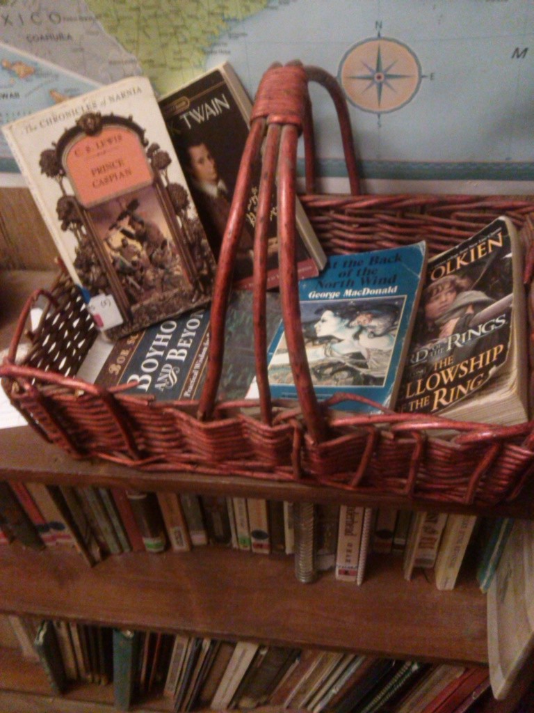 Our "red" basket, with bedtime and lunch reads.